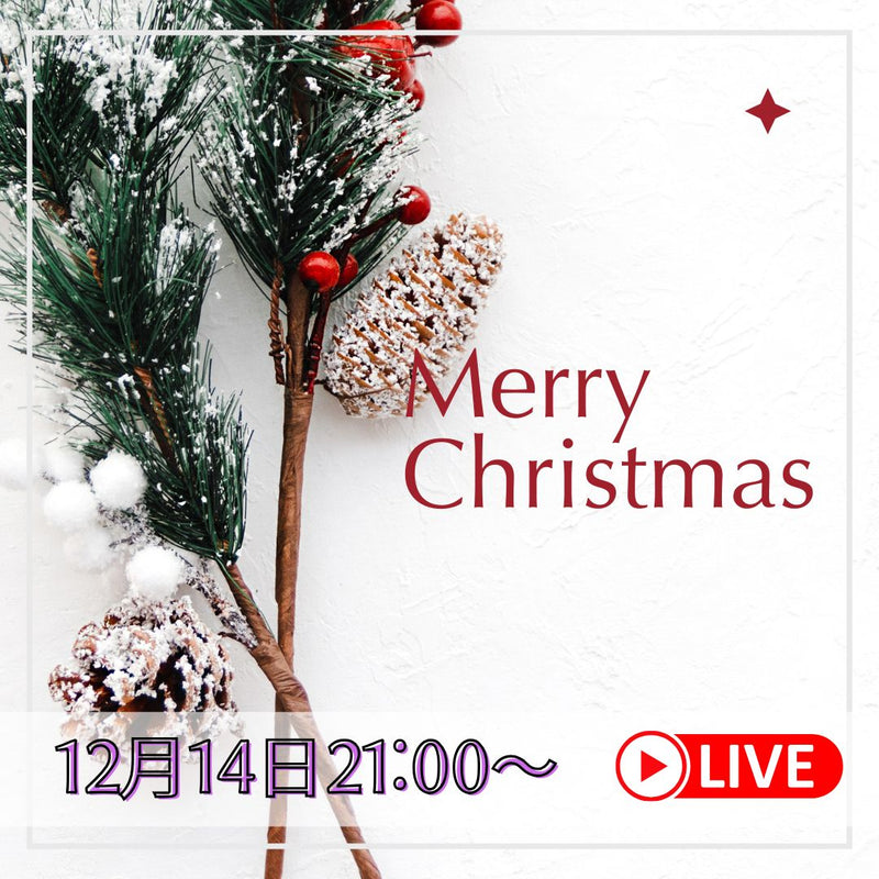 ◆クリスマス抽選会は12月14日！もうご応募はお済ですか？