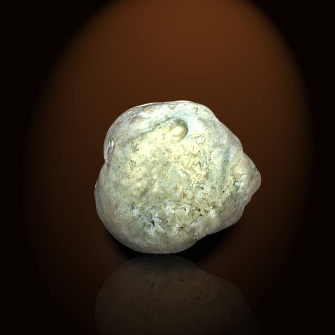 ◇History of Pearls～「真珠」価値の変遷～日本最古と言われるトリハマパール