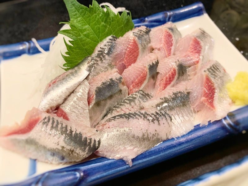 ◆入梅いわし、銚子出張へ