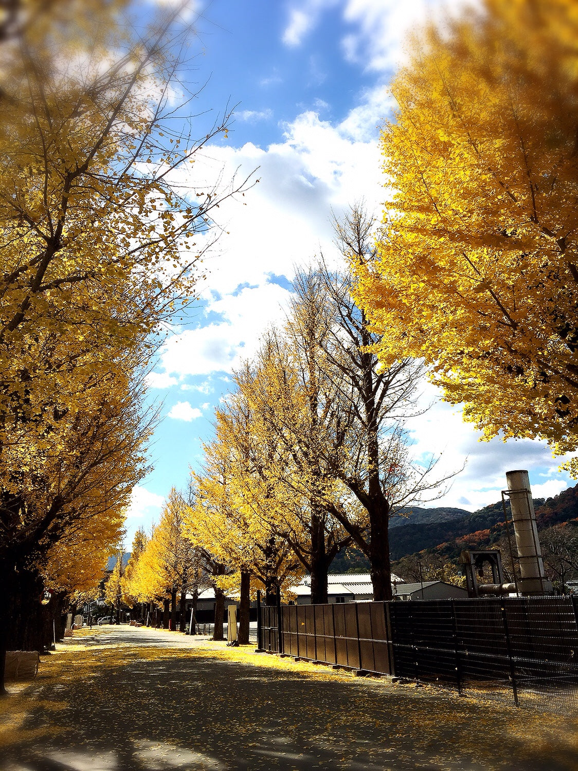 ◇12月今年最後の朔日参りへ。今年の振り返り、そして新しい年のことなど。