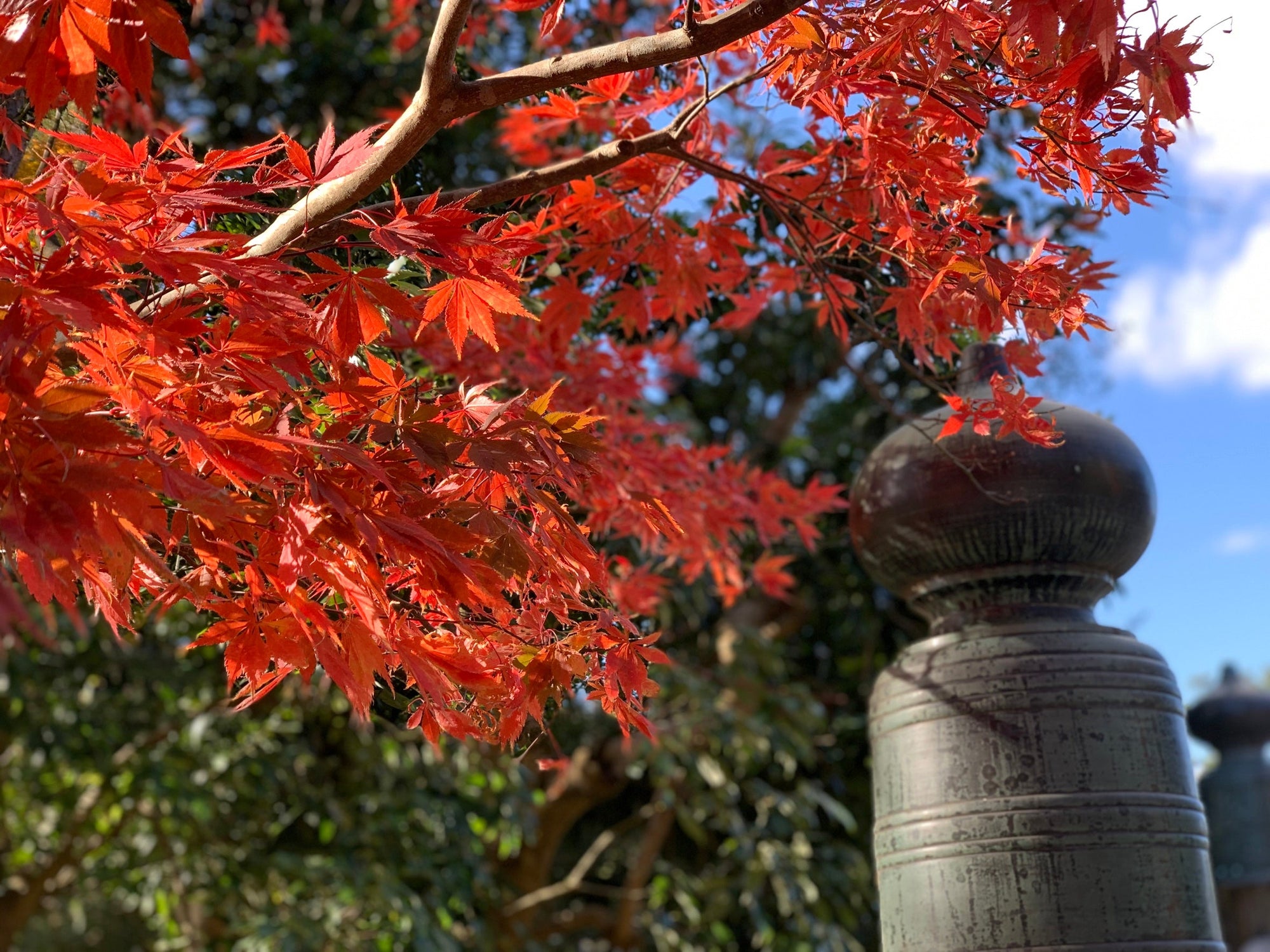 伊勢神宮